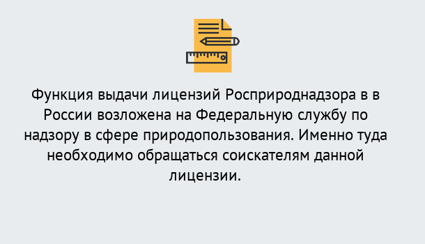 Почему нужно обратиться к нам? Инта Лицензия Росприроднадзора. Под ключ! в Инта