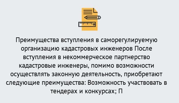 Почему нужно обратиться к нам? Инта Что дает допуск СРО кадастровых инженеров?