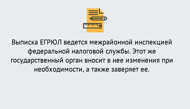 Почему нужно обратиться к нам? Инта Выписка ЕГРЮЛ в Инта ?