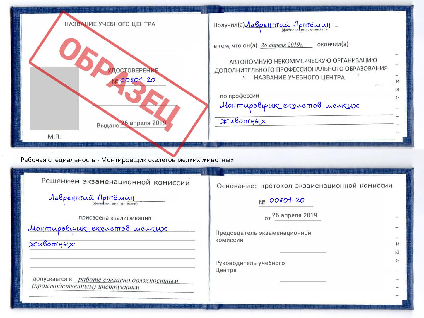 Монтировщик скелетов мелких животных Инта