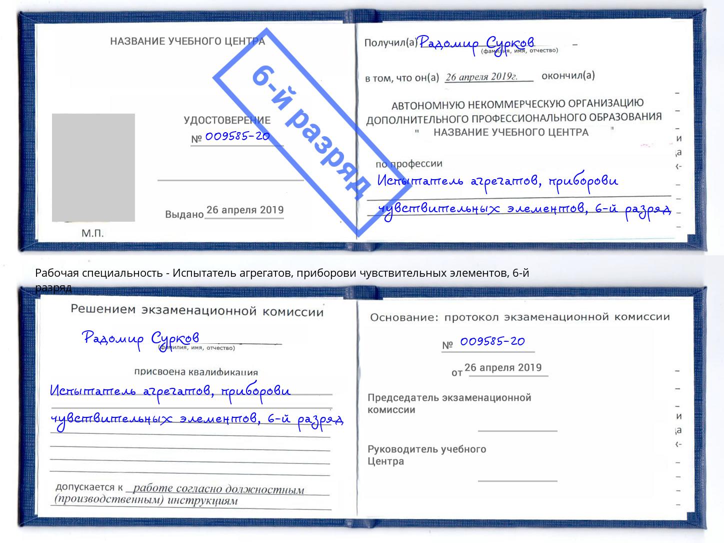 корочка 6-й разряд Испытатель агрегатов, приборови чувствительных элементов Инта