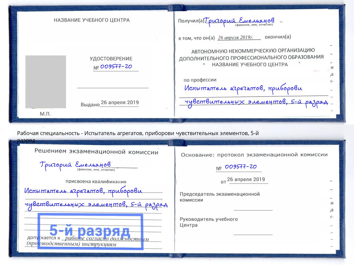 корочка 5-й разряд Испытатель агрегатов, приборови чувствительных элементов Инта