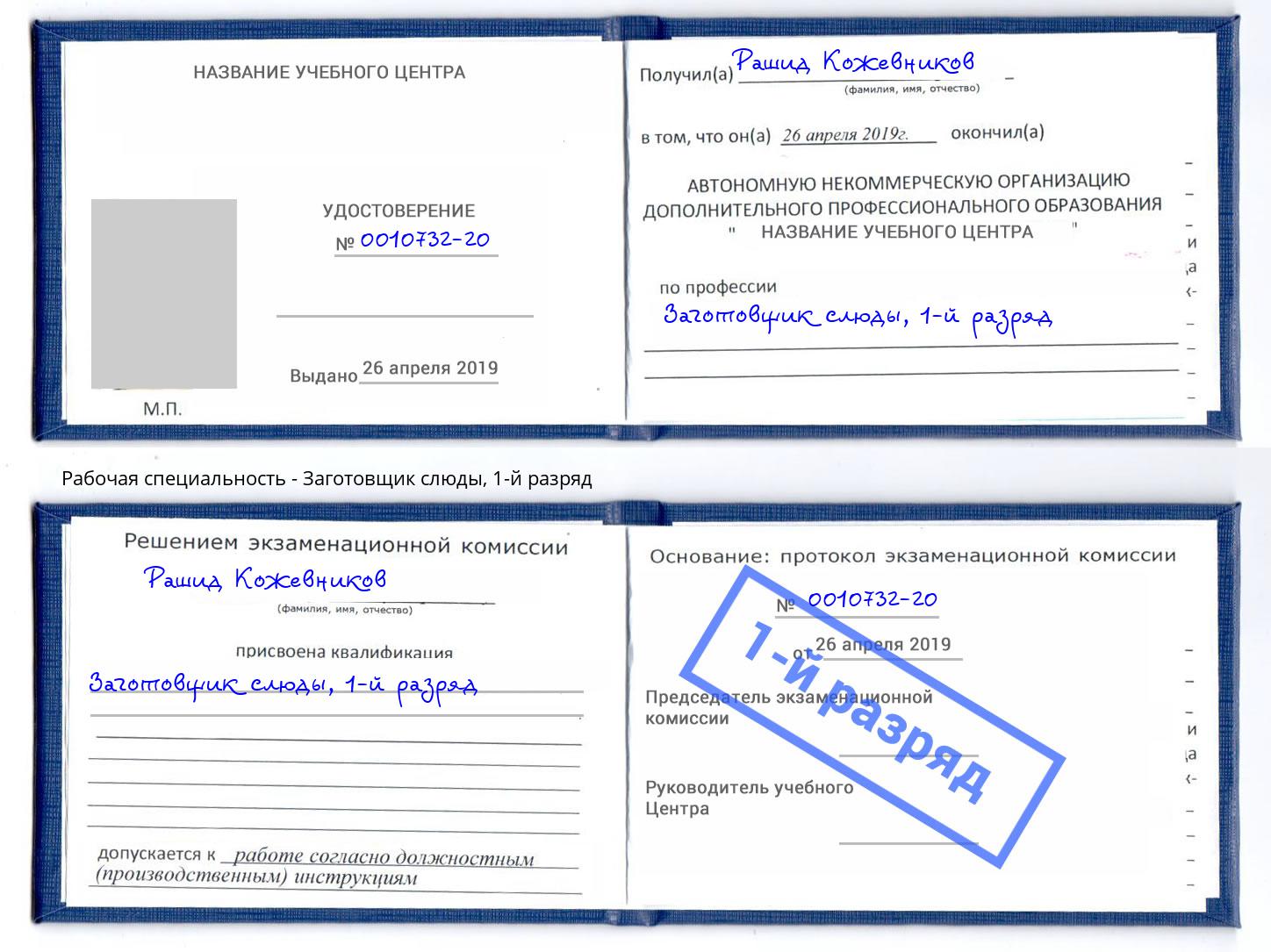корочка 1-й разряд Заготовщик слюды Инта